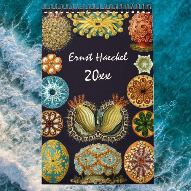 Calendario Ernst Haeckel, biología, botánica, ciencia (Subido por el creador)