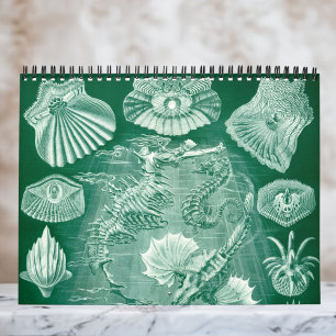 Calendario Ernst Haeckel, biología, botánica, ciencia