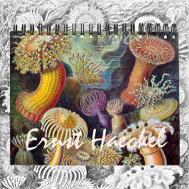 Calendario Ernst Haeckel vintage, Biología, Botánica, Ciencia
