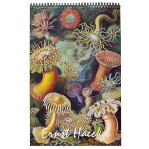Calendario Ernst Haeckel vintage, Biología, Botánica, Ciencia
