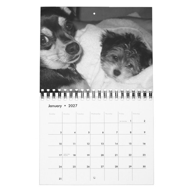 Calendario Es la vida 2008 de un perro (Jan 2027)