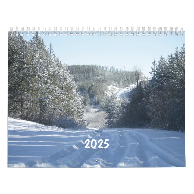 Calendario Escenario de Paisaje Silvestre de 2025 (Tapa)