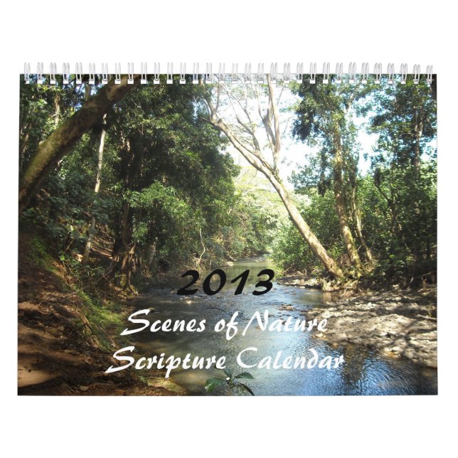 Calendario Escenas de las escrituras de naturaleza para 2013 (Tapa)