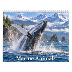 Calendario Escénico de Vida Silvestre Oceánica