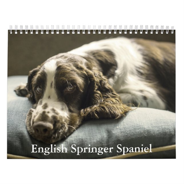 Calendario Español de Springer en inglés (Tapa)