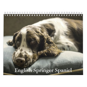 Calendario Español de Springer en inglés