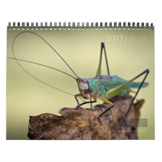 CALENDARIO "ESPECIAL" DE 2013 INSECTOS POR LAS