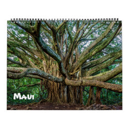 Calendario Espectacular Maui
