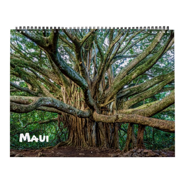 Calendario Espectacular Maui (Tapa)