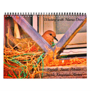 Calendario Esperando con Mama Dove