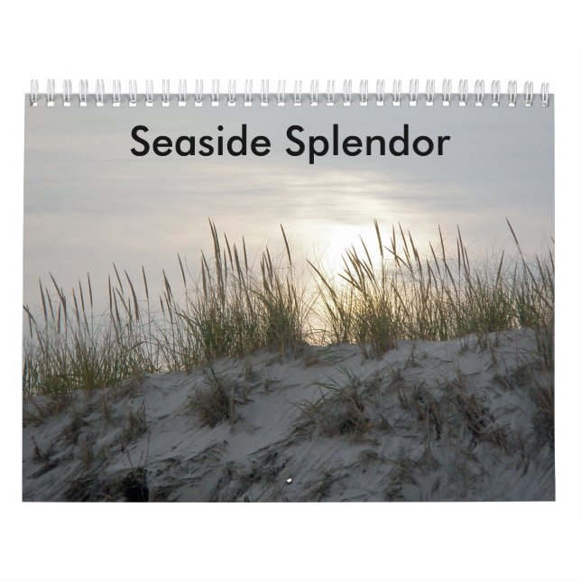 Calendario Esplendor costero (Tapa)