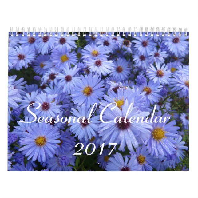 Calendario estacional 2017 (Tapa)