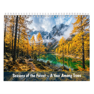 Calendario Estaciones del Bosque - Un Año Entre Árboles