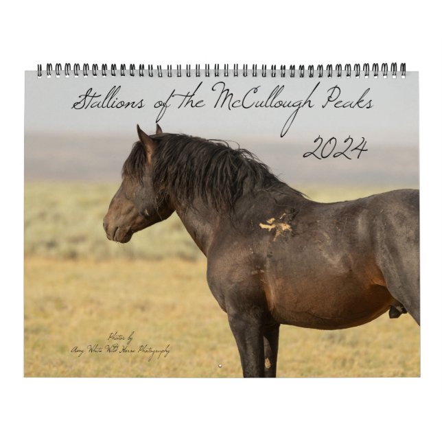 Calendario Estalliones de los picos de McCullough (Tapa)