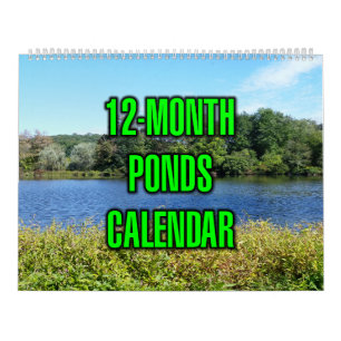 Calendario Estanques de 12 Meses