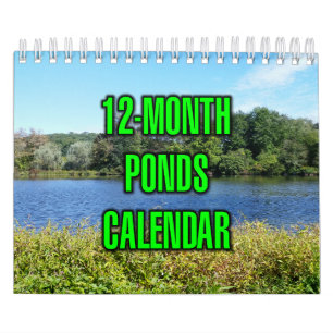 Calendario Estanques de 12 meses