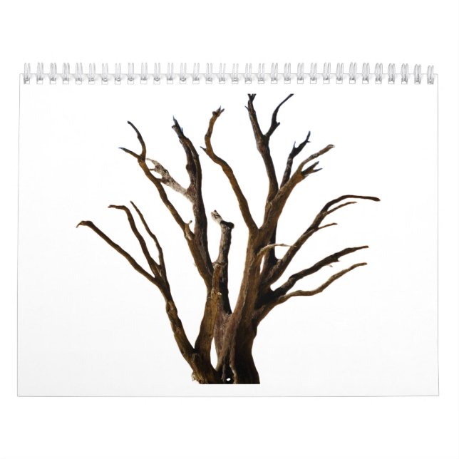 Calendario Estructura de árbol (Tapa)