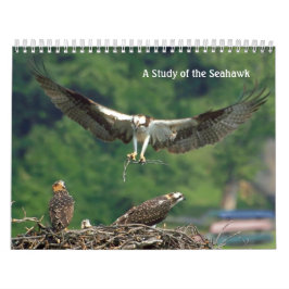 Calendario Estudio del Seahawk