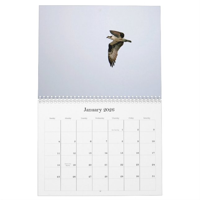 Calendario Estudio del Seahawk (Jan 2026)