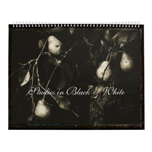 Calendario ~ Estudios en blanco y negro (Tapa)