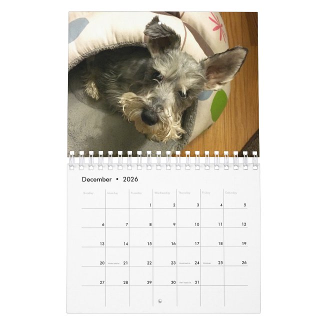 Calendario estupendo de Owen 2016 (Dec 2026)