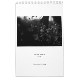 Calendario Everyday Mysteries Calendar