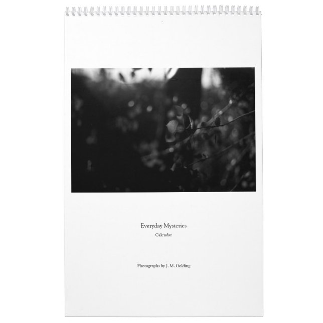 Calendario Everyday Mysteries Calendar (Tapa)
