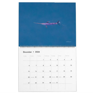 Calendario exclusivo de pez espada 2026