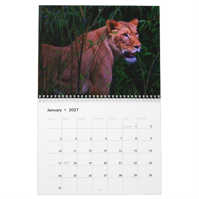 Calendario exótico de los animales (Jan 2027)