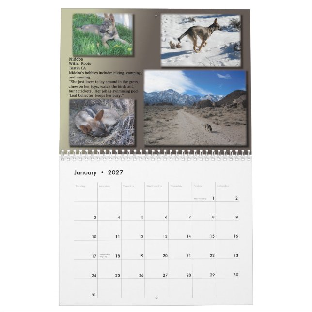 Calendario EXPIRADO de 2013 AYUDAS (Jan 2027)