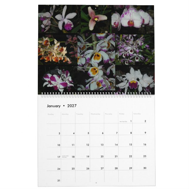 Calendario Expo pacífica de la orquídea (Jan 2027)
