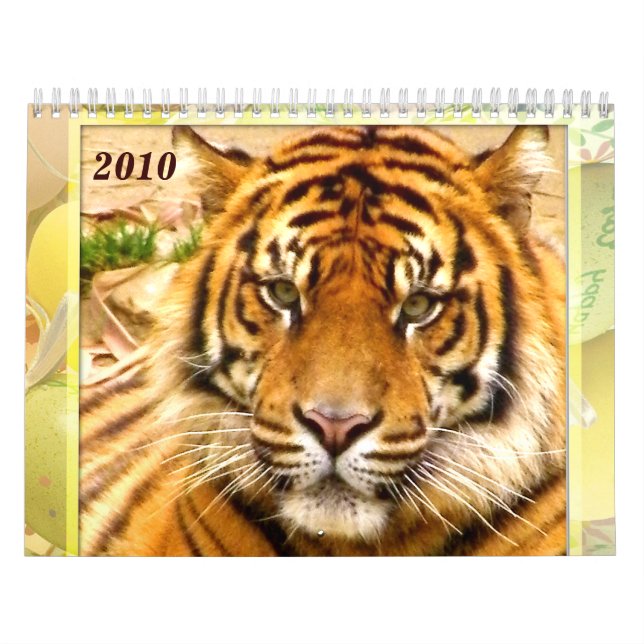 Calendario Expression_2010 de Tiger y Lion (Tapa)