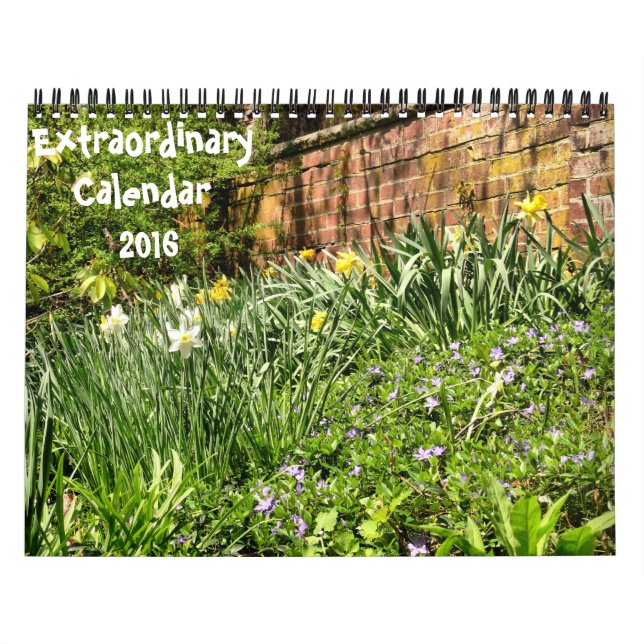 calendario Extraordinary-2016 (Tapa)