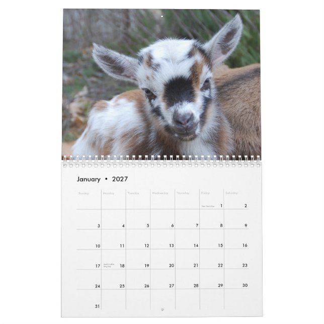 Calendario extremo del Cuteness de la granja (Jan 2027)