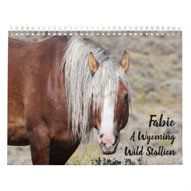 Calendario Fabio A Wild Wyoming Stallion (Tapa)