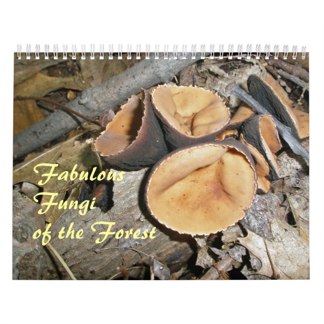 Calendario - Fabulosos Hongos Del Bosque (Tapa)