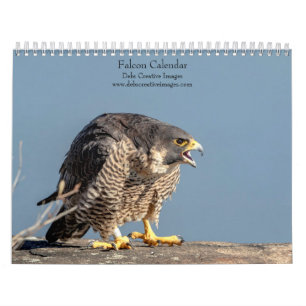 Calendario Falcon 2024