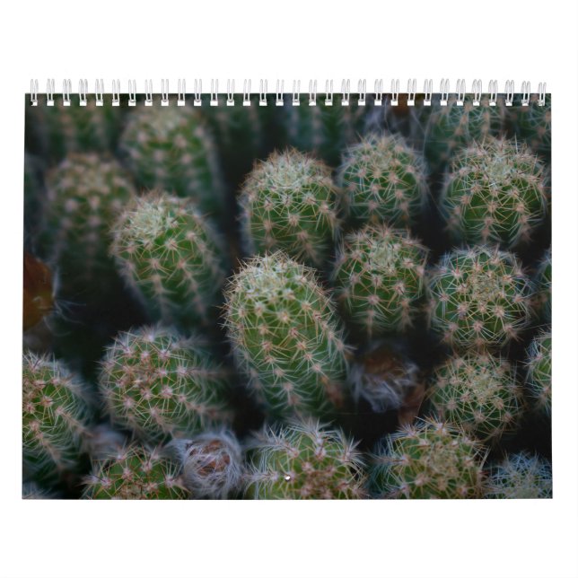 Calendario Familia Cactus (Tapa)