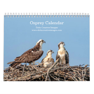 Calendario Familia de águilas pescadoras Adirondack 2027 Vi