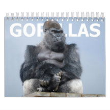 Familia de Gorilas 2027 - Tropa de Oumbi Espalda P