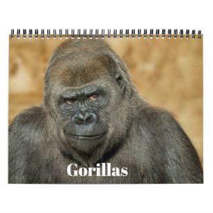 Calendario Familia de gorilas del zoológico Twycross 2027