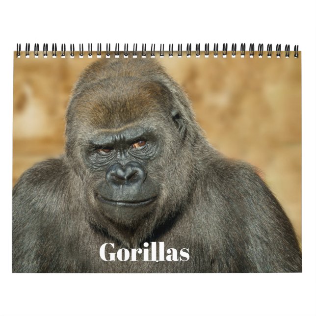 Calendario Familia de gorilas del zoológico Twycross 2027 (Tapa)