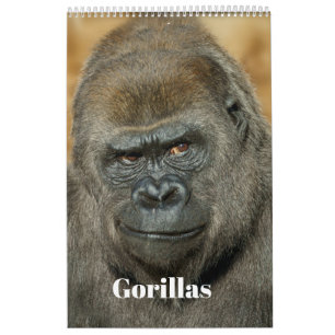 Calendario Familia de Gorilas SloggerVlogger 2027