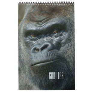 Calendario Familia de gorilas Twycross perdurable 2027