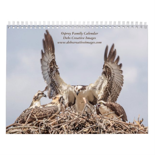 Calendario Familia Osprey 2026 (Tapa)