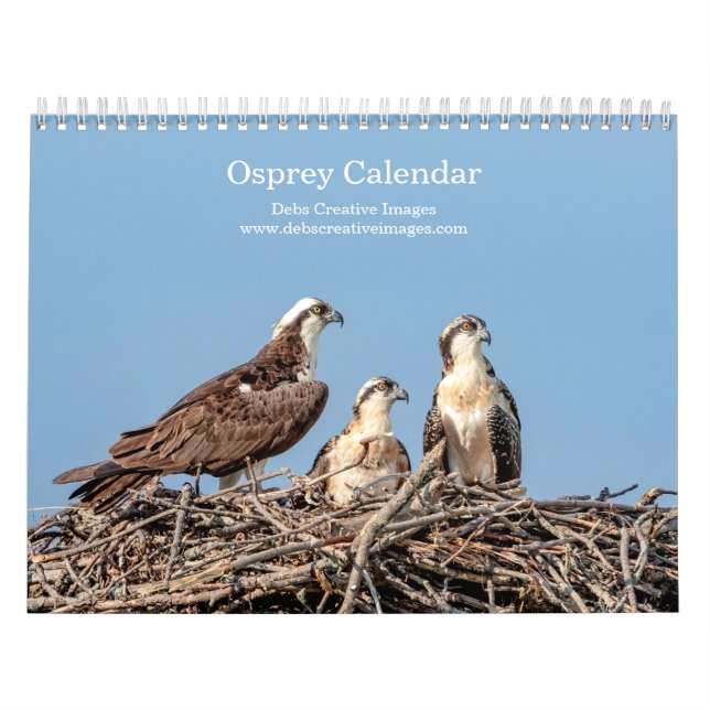 Calendario Familia Osprey 2026 (Tapa)