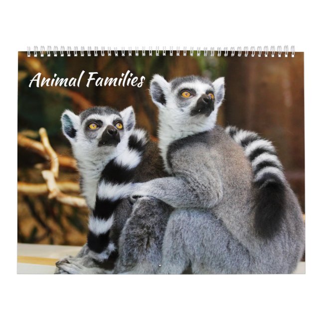 Calendario Familias animales (Tapa)