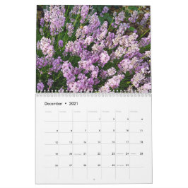 Calendario Farbzauber Lavendel