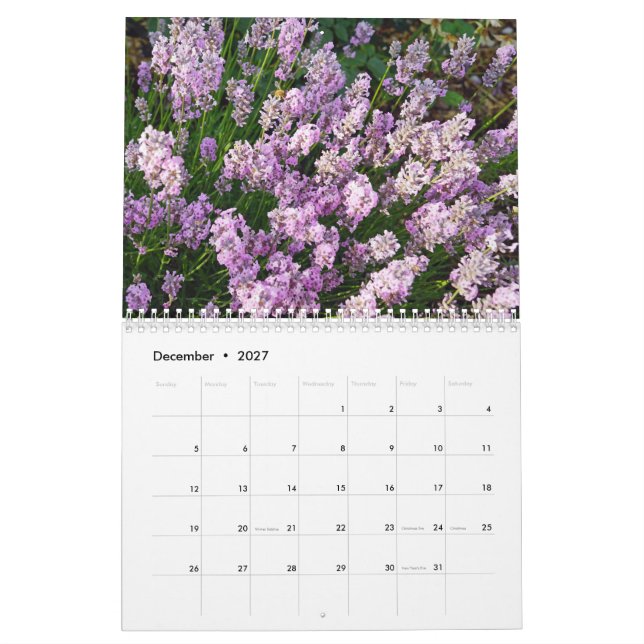 Calendario Farbzauber Lavendel (Dec 2027)