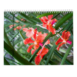 Calendario Farbzauber Orchideen